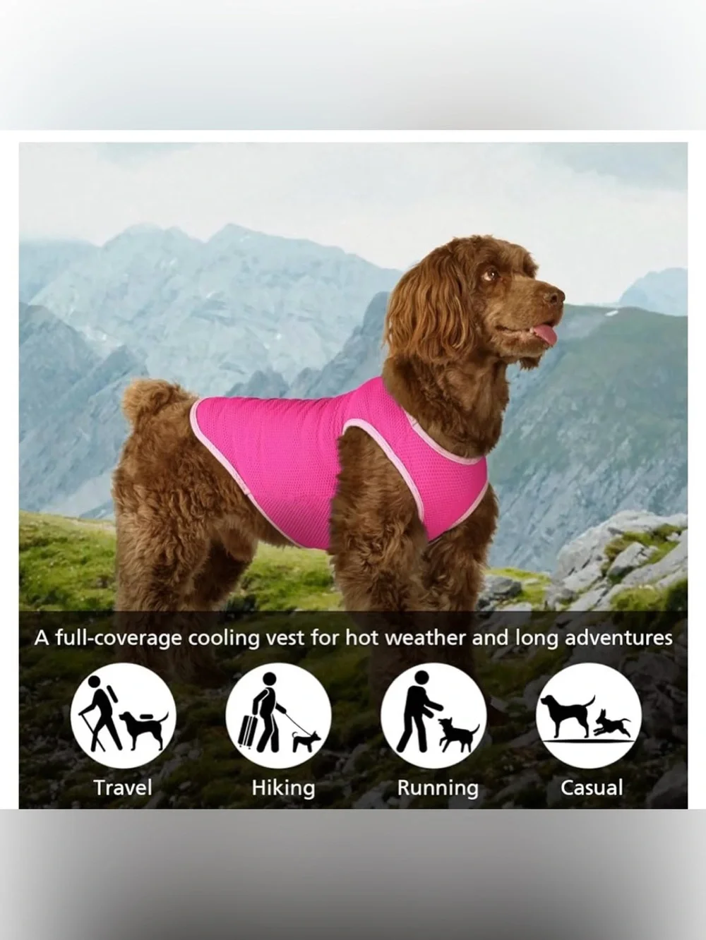Breathable Pink Mesh Dog Cooling Shirt- Lightweight for Summer - Never Worn